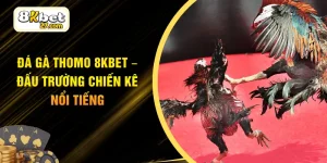 Đá Gà Thomo 8KBET – Đấu Trường Chiến Kê Nổi Tiếng